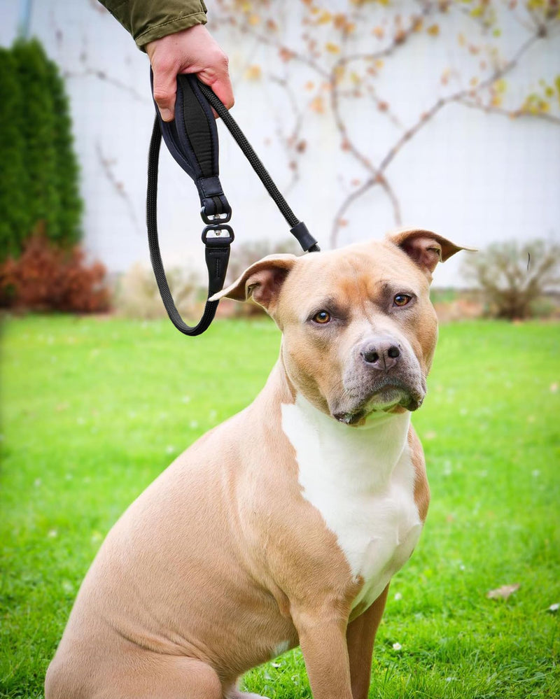Heydoggy Slip Lead Dog Leash - Strong 4FT/6FT Training Lead [360 Swivel Anti-Tangle] Durable Nylon No Pull Walking Rope for Small Medium Large Puppy Dogs - 6ft Black 6ft x 0.45" - PawsPlanet Australia
