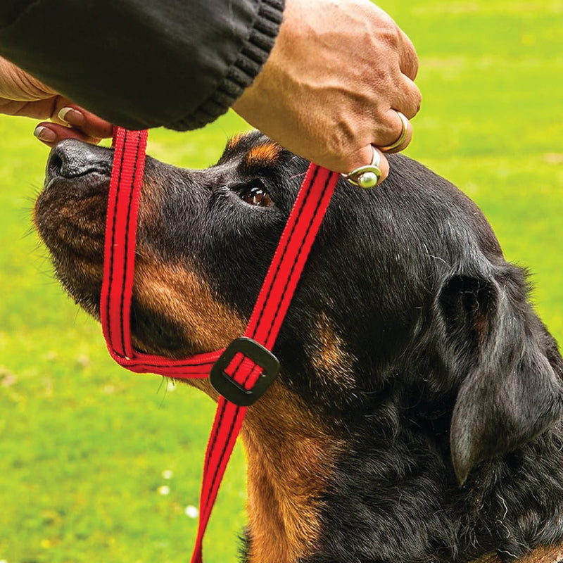 Extra-Wide Anti Pull Dog Headcollar - Trainer Approved - Soft & Gentle Control - Practical Dog Training & Behaviour Aid - Right Hand - UK Made - Doesn't Include Lead - Red Large | X-Wide - PawsPlanet Australia