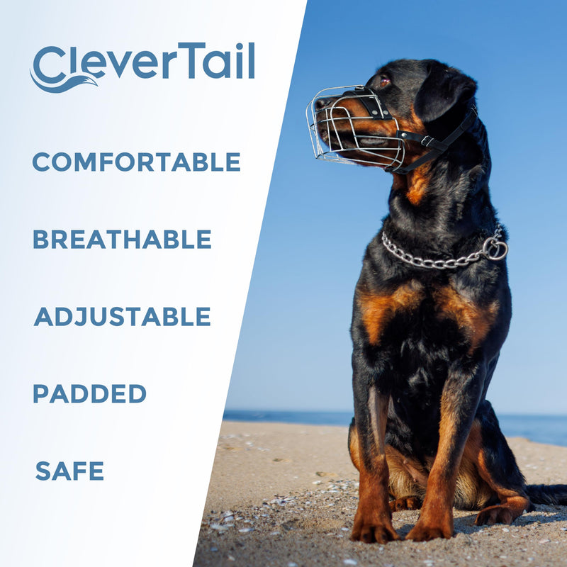 XL Metal Dog Muzzle for Large Sized Dogs – Heavy Duty Rottweiler Muzzle – Basket Extra Large Dog Muzzles for Barking and Biting Cane Corso, Mastiff, Labrador, Bulldog and Other Big Breeds - PawsPlanet Australia