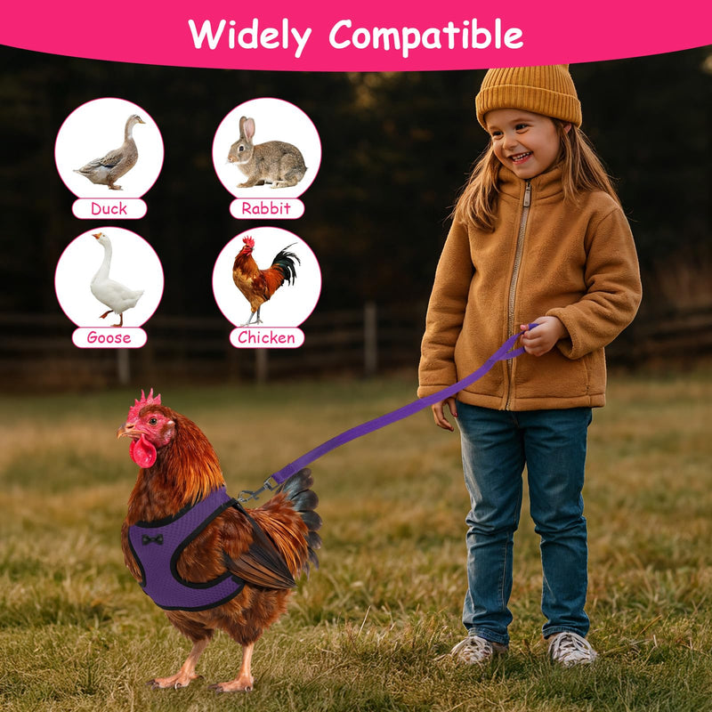 Chicken Harness with Leash Set, Upgraded Double Adjustable Mesh Breathable Chicken Training Harness, Pets Leash for 3-4 Lb Hens Duck Goose Small Pets Training Walking Supplies (4 Colors) - PawsPlanet Australia
