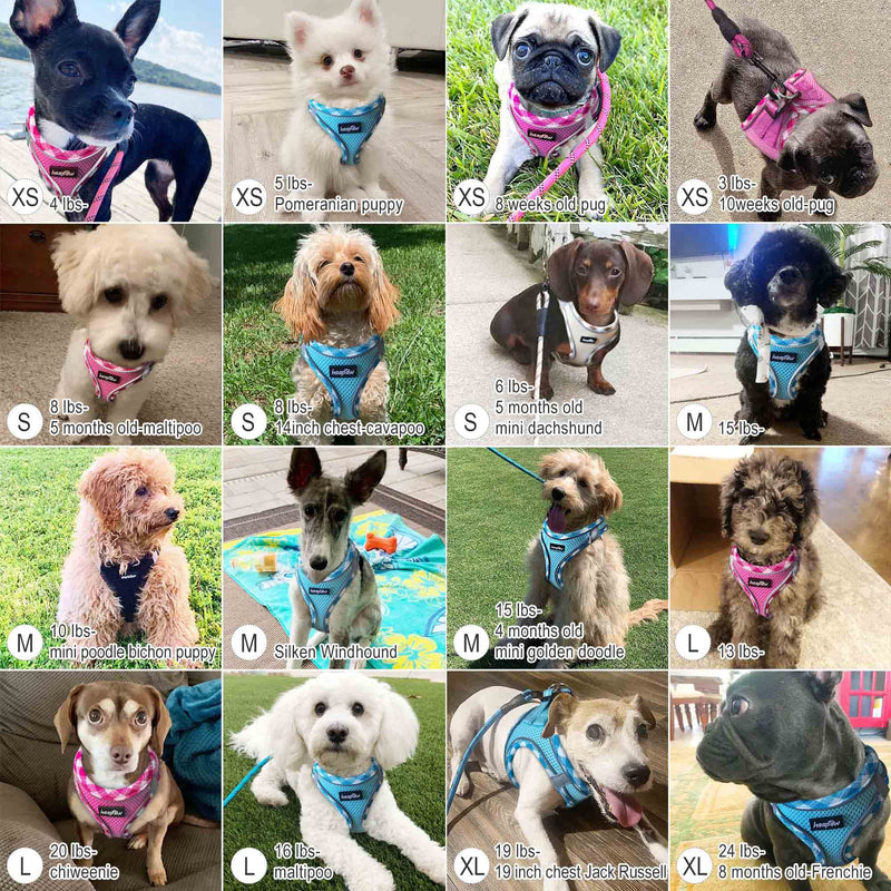 haapaw Dog Harness with Leash Set, No Pull Adjustable Reflective Step-in Puppy Harness with Thickened Padded Vest for Extra-Small/Small Medium Dogs S Beige - PawsPlanet Australia