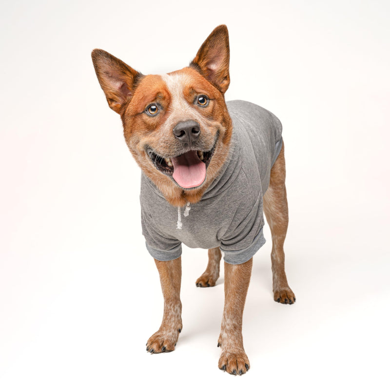 Emotional Support Animal (ESA) Dog Hoodie | Fleece Lined |Leash Hole| Anxiety Relief | Service | Therapy Dog | Training|Grey, Medium 387 Grey - Hoodie Medium (6-12lbs) - PawsPlanet Australia