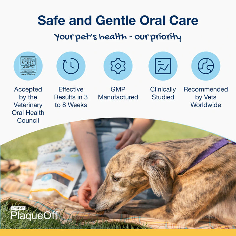 ProDen PlaqueOff System Dental Care Bones for Dogs - Dog Breath Freshener & Plaque Remover - Dog Teeth Cleaning for a Healthy Mouth - Turkey Cranberry Flavor - 17 oz Turkey & Cranberry - PawsPlanet Australia