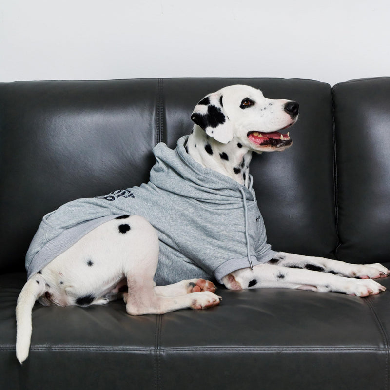 Tuff Pupper Dog Hoodie | Premium Quality Insulated Fabric | Ultra Soft Interior for Superior Comfort | Elastic Cuffs & Drawstring for Warmth | Stretch Fit Suitable for All Breeds (Gray, L) 40-60 lbs (Large) Heather Grey - PawsPlanet Australia