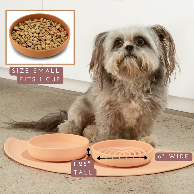 The Slowdown Bowl - Silicone Slow Feeder, Slow Eating, Modern Lick Mat Design, Reduces Gulping, Dishwasher Fit, for All Cat & Dog Breeds, Mealtime Challenge, Small-Spruce Spruce - Rainbow Design - PawsPlanet Australia