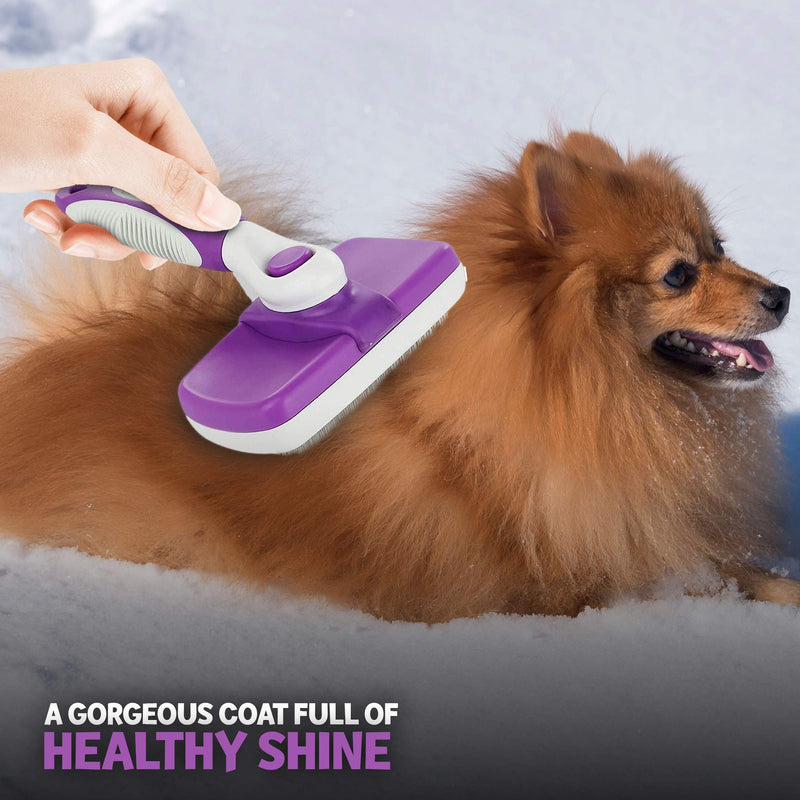 POODLIE Dog Grooming Brush, Self Cleaning Slicker Brush for Dogs and Cats - Removes Tangles, Loose Hair - Poodles, Pomeranians, Yorkies, Soft Pins - Purple 1 Count (Pack of 1) - PawsPlanet Australia