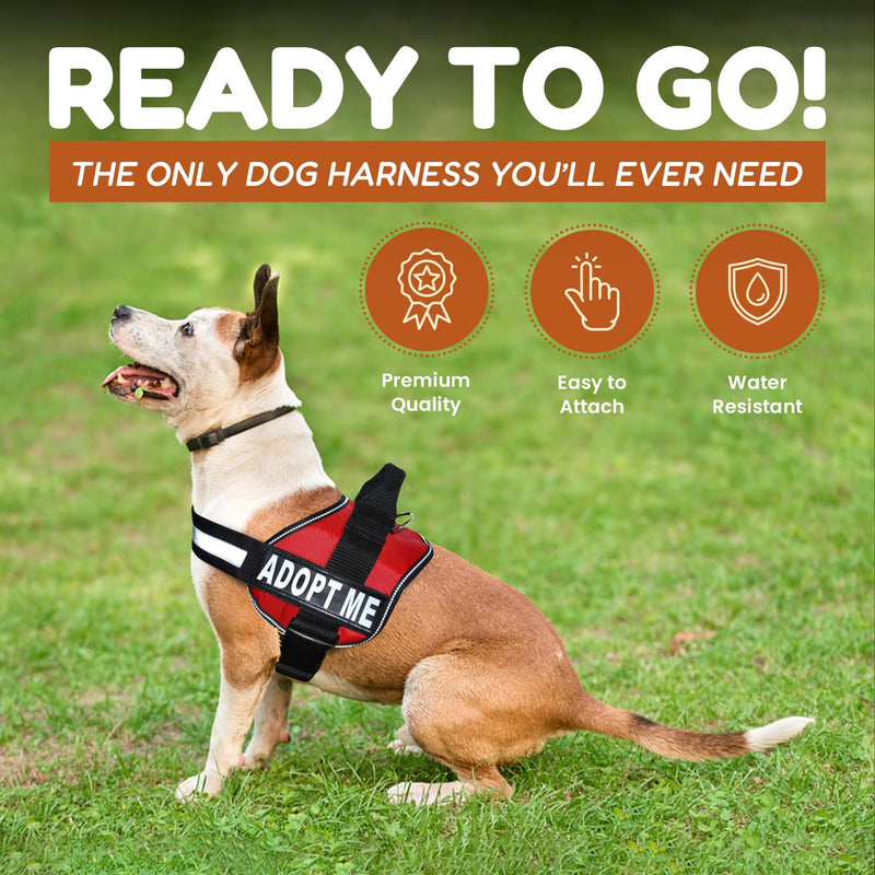 Doggie Stylz Adopt ME Nylon Dog Vest Harness with 2 Reflective Removable Patches - Ideal Dog Harness for Small Dogs and Dog Harness for Large Dogs, Versatile Pet Safety Accessory Girth 19-25" Purple - PawsPlanet Australia