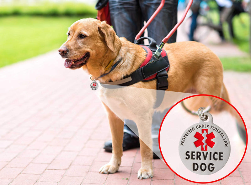 Service Dog Tag Double Sided Federal Protection with Red Medical Alert Symbol Pet ID Tags 1.25 inch. Easily attach to Collar Harness Vest Dog Service Tag Medium to Large Breeds - 1.25" Inch Diameter - PawsPlanet Australia