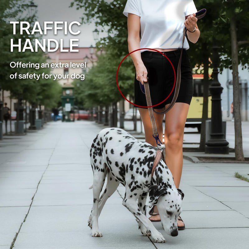 TwoEar 6FT 1IN Strong Brown Dog Leash with 2 Padded Handles, Traffic Handle Extra Control, Comfortable Soft Dual Handle, Auto Lock Hook, Reflective Walking Lead for Small Medium and Large Dogs 1 in x 6 ft - PawsPlanet Australia