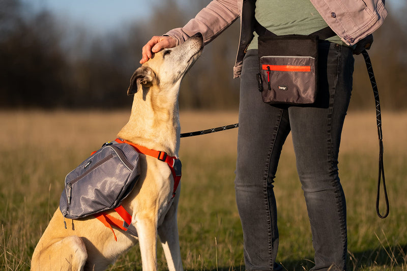 iEnergy™ ELI Belt Pouch: Ideal Dog Training Accessory, Hands-Free Dog Walking Belt with Treat Pouch, Magnetic Closure, Waist Pack for Dog & Horse Owners - Perfect Dog Hiking Gear (Green) - PawsPlanet Australia