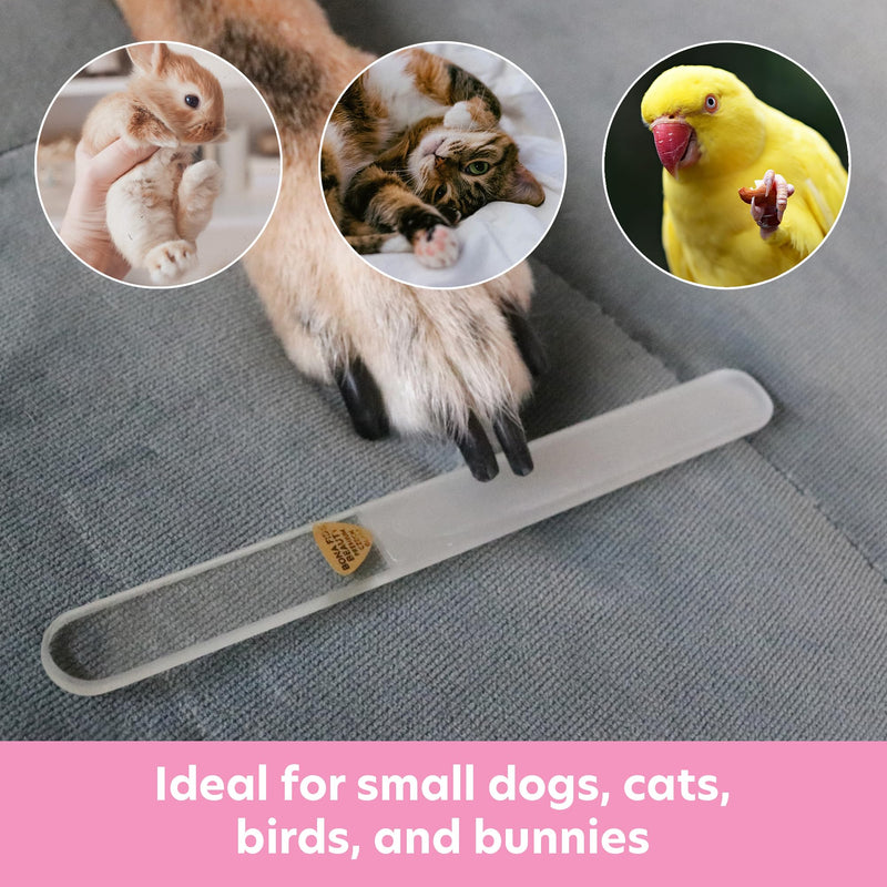 Bona Fide Beauty Pet Nail File Made of Czech Glass, Quiet and Painless Pet Nail Filer for Small Dogs, Cats, Birds, and Rabbits Clear - PawsPlanet Australia