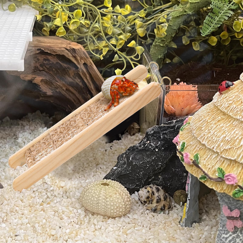 Hermit Crab Toys, Seagrass Hammocks and Hermit Crab Ladder Bridges Set with Small Brush, Hermit Crab Accessories are Perfect Decorations and Accessories for Aquariums and Tanks. Small Pet Safe - PawsPlanet Australia