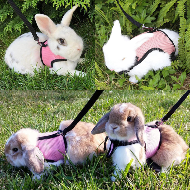 Small Pet Carrier Backpack Rabbit Carrier with Harness Vest Stretchy Elastic Leash Large Breathable Pet Carrier Airline Approved for Bunny Guinea Pig Ferret Hedgehog Kitten Travel Walking Rabbit Carrier Backpack - PawsPlanet Australia