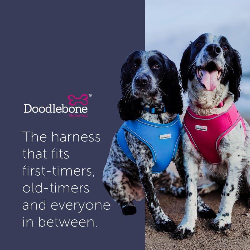 Doodlebone – Snappy Harness Dog Harness – Easy Step In Vest Style Harness, No Over Head Fit, Reflective & Machine Washable for Puppies and Small Dogs – Size 3, 46-52cm - Coal - PawsPlanet Australia