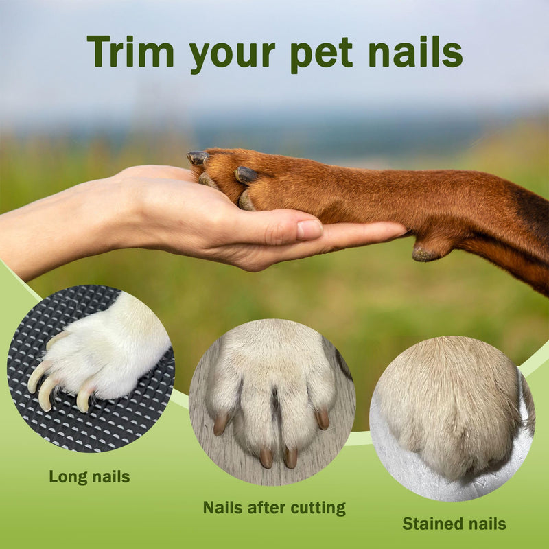 2-in-1 Dog Nail Grinder & Dog Nail Clippers Trimmers for Large Medium Small Dogs Cats Pets Claw Trimmer with LED Lights (Pink) Pink