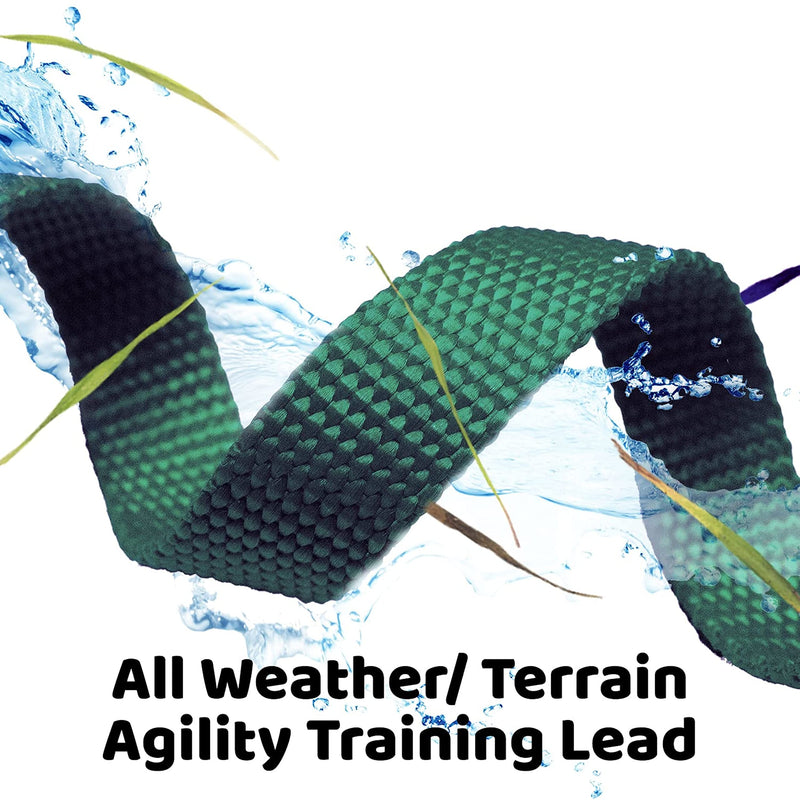 Downtown Pet Supply - Long Dog Leash - 50 ft Hunter Green Nylon Dog Training Leash 50 Foot - PawsPlanet Australia