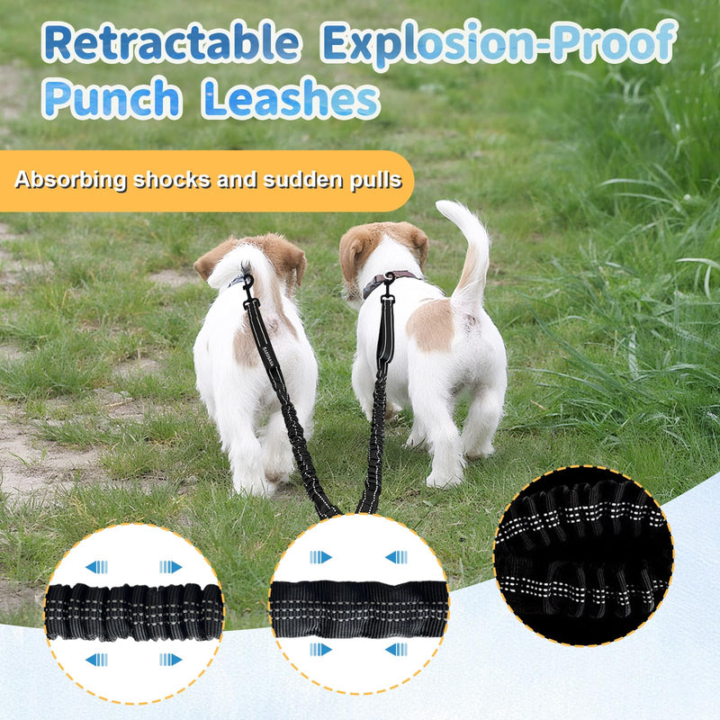 Double Dogs Leash - Removable Main Lead Rope with Splitter, No Tangle 2 Dog Coupler, Reflective No Pull Bungee, 3 Handle, D-Ring, Extra Long for Walk Train Medium Large Two Pet (Black) Black - PawsPlanet Australia