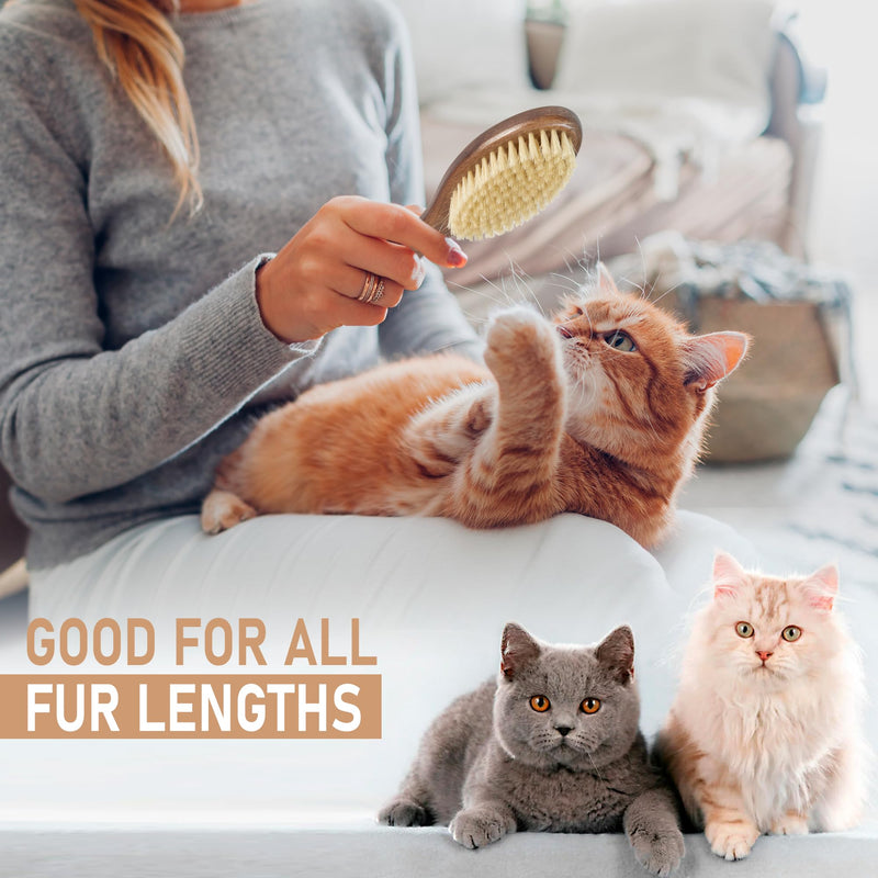 Takavu Natural White Boar Bristle Cat Brush - Gentle Grooming Tool for Sensitive Skin, Smoothing Fur & Healthy Shine - Soft Pet Brush - PawsPlanet Australia