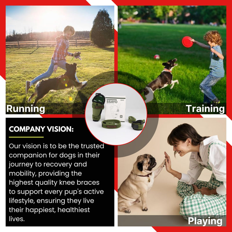 Dog Knee Brace for Male/Female Dogs - Neoprene Support Dog Leg Braces for Back Leg with Adjustable Straps and Belt - Torn ACL Hind Leg, Ligament Injury, Joint Pain and Stability (Medium, Left) Medium - PawsPlanet Australia