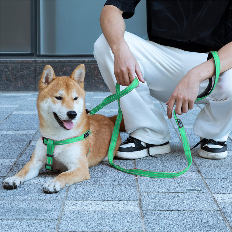 EXCELLENT ELITE SPANKER Double Layer Reflective Nylon Dog Leash Padded Handle 5 FT Nylon Dogs Leashes for Walking Training Lead for Small & Medium Dogs(Light Blue) 5ft * 3/4" Light Blue - PawsPlanet Australia