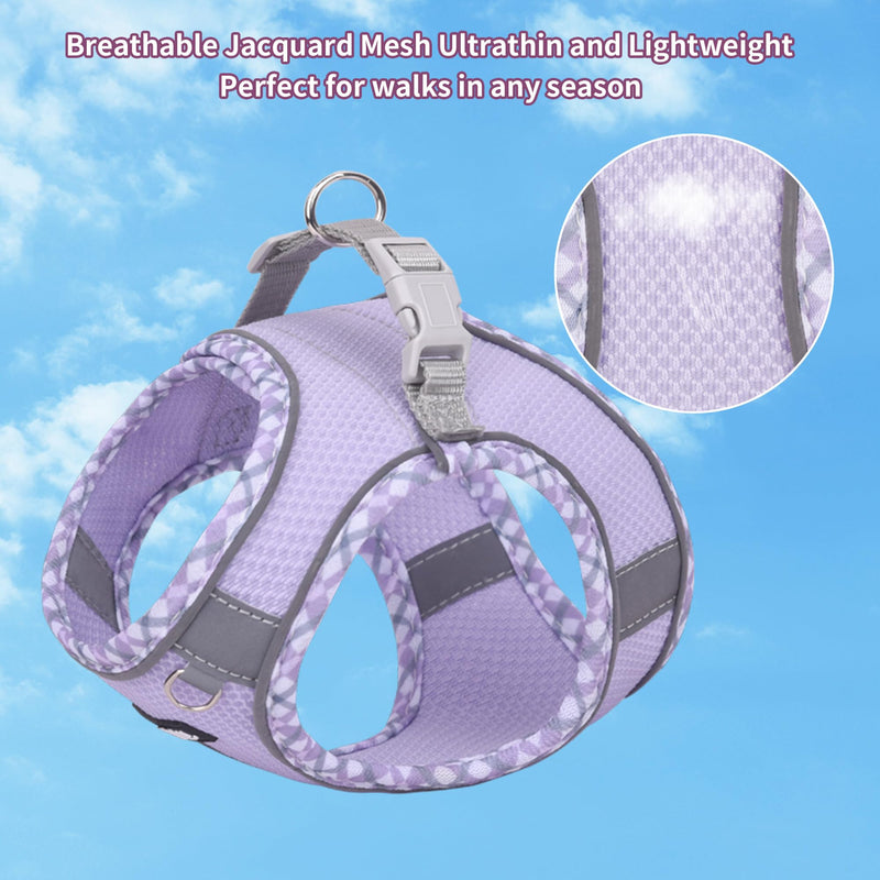 AIITLE Durable Dog Harness and Leash Set for Walking, Step in Puppy Harness, Spring Soft Breathable Pet Supplies, Reflective Bands, for Extra Small Dogs and House Cats Purple XXXS XXXS(Chest: 8.5 - 10") - PawsPlanet Australia