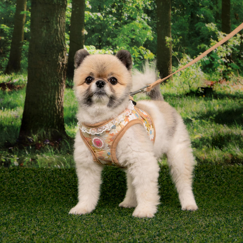 Pinkaholic New York Lilibeth Dog Vest Harness (Step-in) Flower Pattern Fashionable Cute Spring Summer Harness for Small Dogs, Beige, Medium Beige_Lilibeth - PawsPlanet Australia
