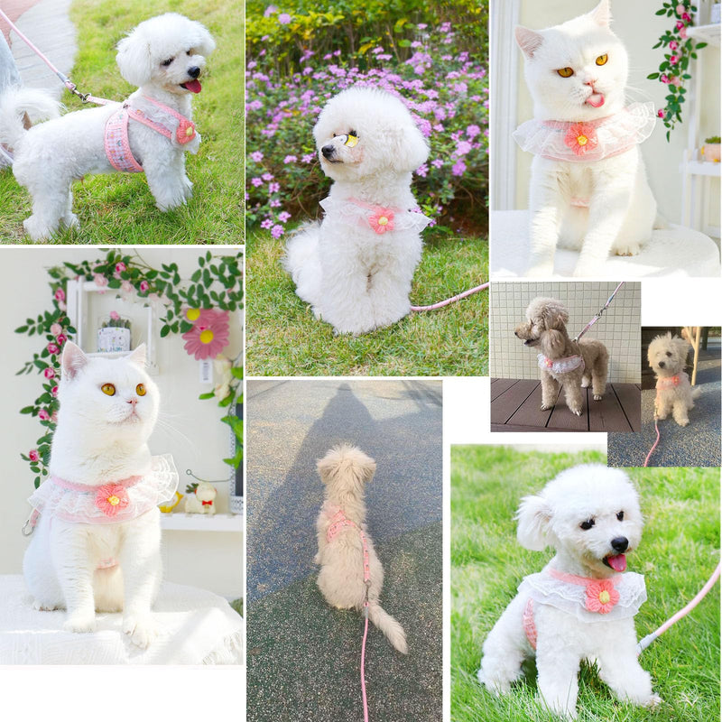 Cat Harness Collar and Leash Set, Sweet Lace Floral Kitten Collar, Escape Proof Puppy Chest Harness, Adjustable Cute Harness Leash Set for Cat Puppy Dog Outdoor Walking (Pink, M) Pink - PawsPlanet Australia