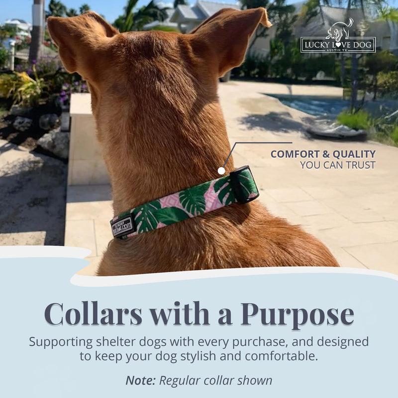 Lucky Love Dog Martingale Dog Collar - Adjustable, No-Slip, Comfortable, Durable, Soft Webbing & Stylish Patterned Collar for Male and Female Dogs Ideal for Training & Walking - Laguna, Small Small Collars (10-15") - PawsPlanet Australia