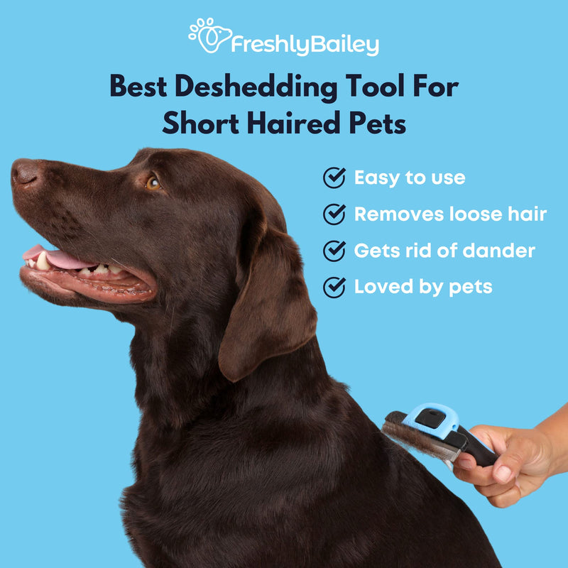 Pet Grooming Tool Kit For Long and Short Haired Dogs and Cats - PawsPlanet Australia
