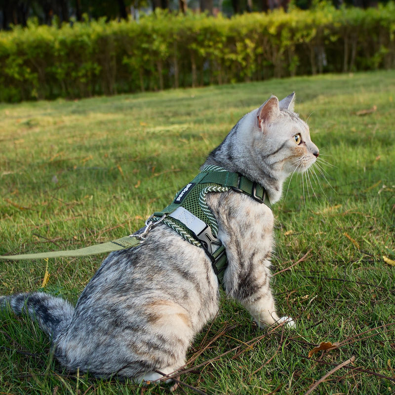 Cat Harness and Leash Escape Proof Extra Large Kitten Harness Maine Coon Cat Vest for Walking Travel, Dark Green, XXL XX-Large - PawsPlanet Australia