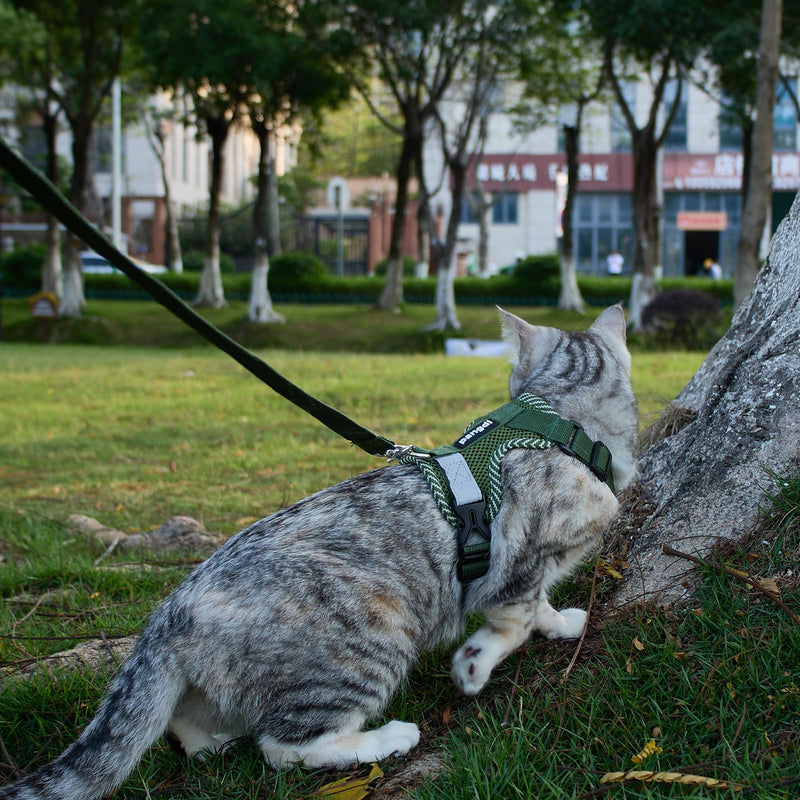 Cat Harness and Leash Escape Proof Extra Large Kitten Harness Maine Coon Cat Vest for Walking Travel, Dark Green, XXL XX-Large - PawsPlanet Australia