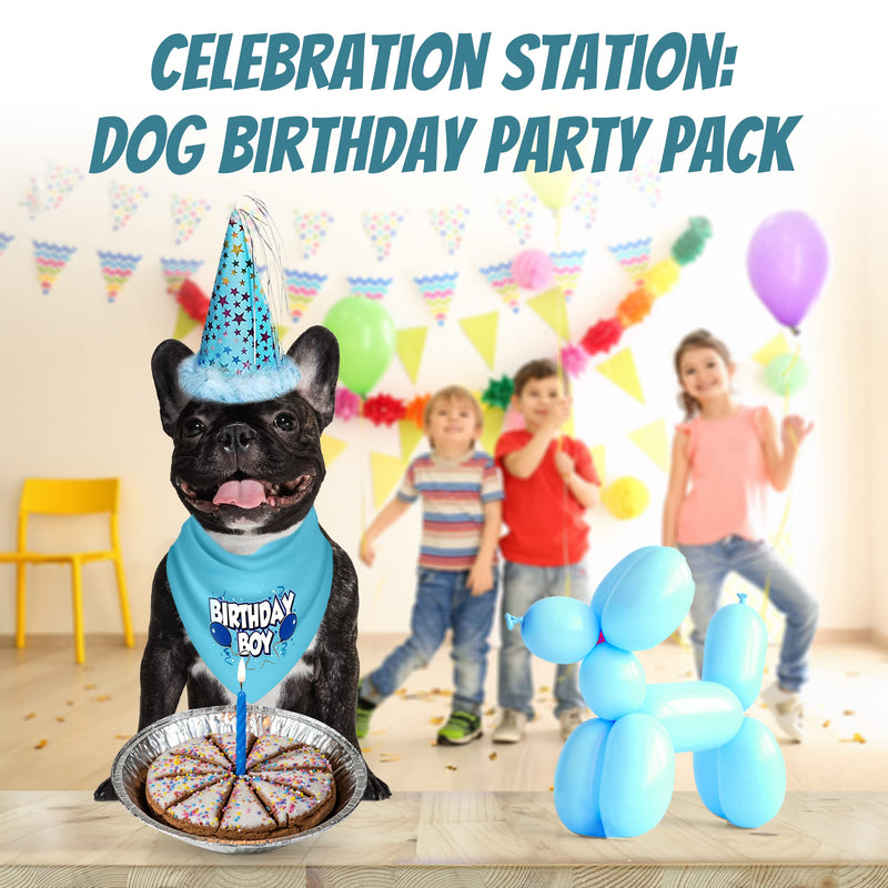 Dog Birthday Boy Party Pack with Bandana, Star Spangled Party Hat with Adjustable Elastic, Tassels and Feathery Trim, and Vegan Birthday Pie, Large Boy Dog Pie Bundle - PawsPlanet Australia