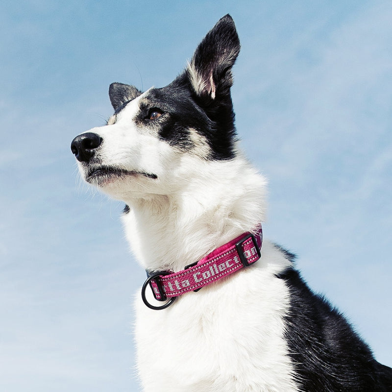 Hurtta Padded Dog Collar, Cherry, 22-26 in - PawsPlanet Australia