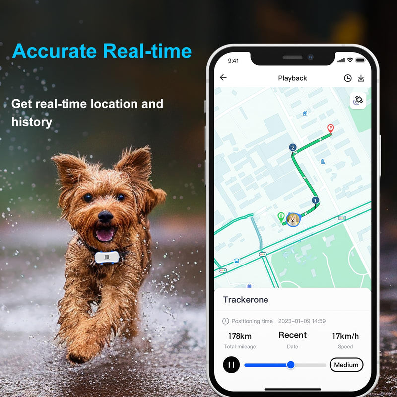wanwanytech GPS Tracker for Dogs Cats, Pet GPS Location Tracker with Geo-Fence and Lighting Flash&Audible Alarm，Anti Lost No Distance Limited Dog GPS Collar Fit Most Pet Collars, Subscription Needed - PawsPlanet Australia