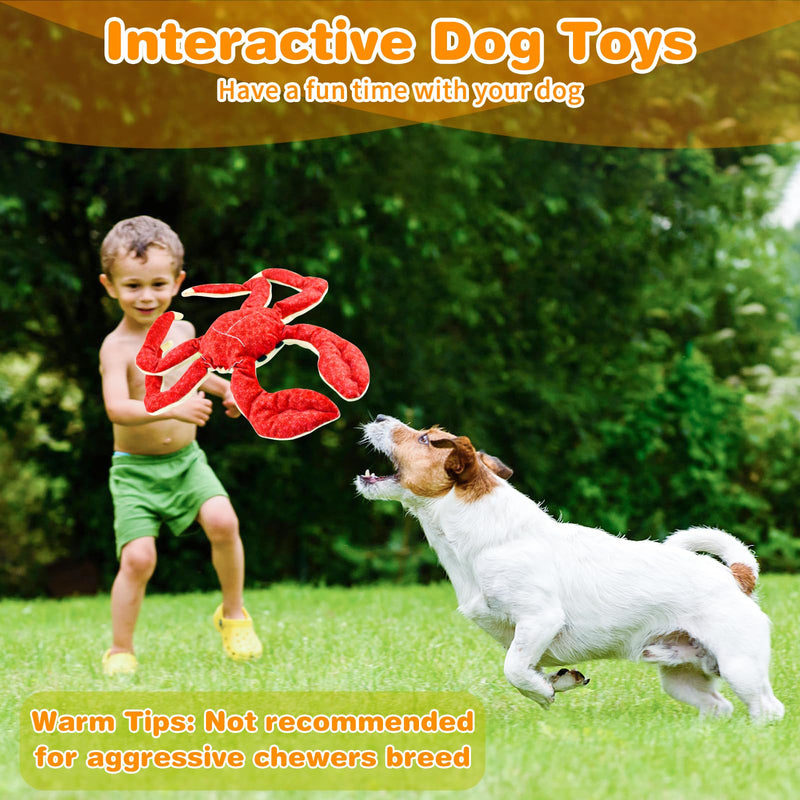 Large Dog Toys Squeaky: Plush Dog Toys - Stuffed Dog Toys - Big Dog Toys for Small Medium Large Breeds - PawsPlanet Australia