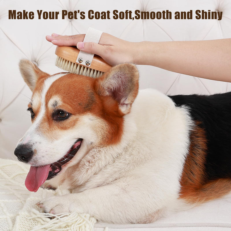 Soft Boar Bristle Pet Palm Brush for Short Haired Dogs and Cats with Band, Reduce Shedding, Ergonomic Dog Brush, Easy to Hold and Reduces Stress On Your Wrist | Ideal for Daily Grooming Wood - PawsPlanet Australia