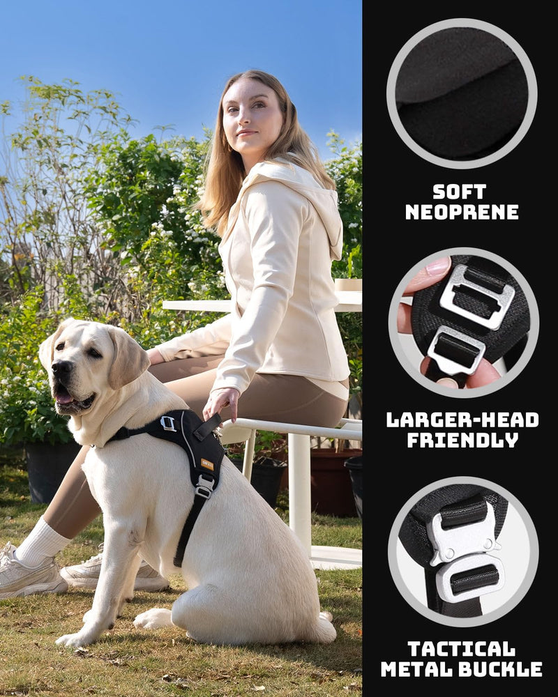 DF No Pull Martingale Dog Harness and Leash Set Silent Metal Buckle, Front Clip Reflective Harness, Adjustable Fit & Handle for Easy Walking & Training, Black, 1", Front Chest 19.7"-25.2" 1" (Front Chest 19.7" - 25.2") Black (Harness Walk Kit) - PawsPlanet Australia