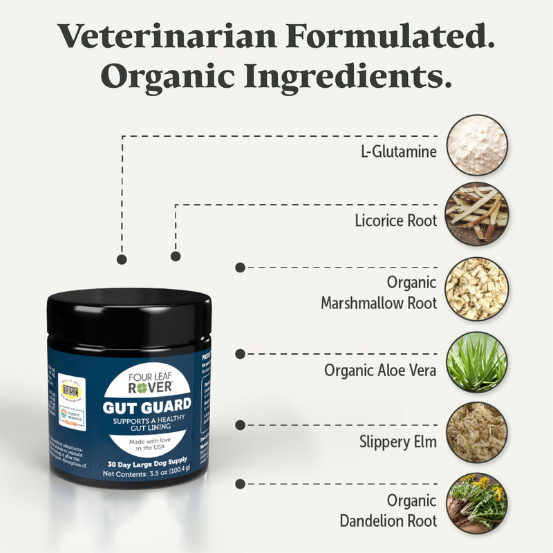 Gut Guard - Dog Probiotics, Prebiotics, and Organic Herbs for Dog Gut Health and Dog Immune Support - Veterinarian Formulated - 30 Day Large Dog Supply - PawsPlanet Australia