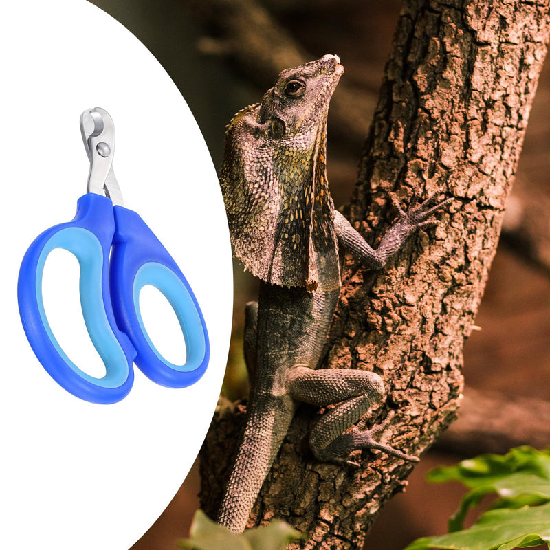 Pet Toe Nail Clippers,Stainless Steel Professional Nails Care Products for Bird,Squirrel,Cat,Dog,Guinea Pig,Rabbit,Turtle,Bearded Dragon,Small Reptile Clippers - PawsPlanet Australia