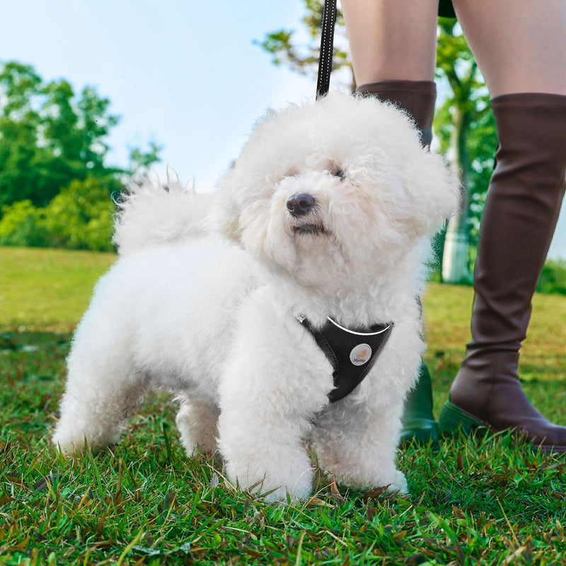 Dog Harness and Leash Set, No Pull Soft Mesh Puppy Harness for Small Medium Dogs, Cats - Step in Adjustable Reflective Pet Harness with Buckle and Double D-Rings - Black, XS XS(Chest: 13.5"-15") - PawsPlanet Australia