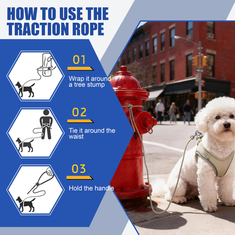 Harness and Leash for Cat or Puppy - Adjustable Set in Soft Nylon, Secure Comfort for Walking, Training, Outdoor, Small Animals, Easy to Put On and Take Off, Beige, S - PawsPlanet Australia