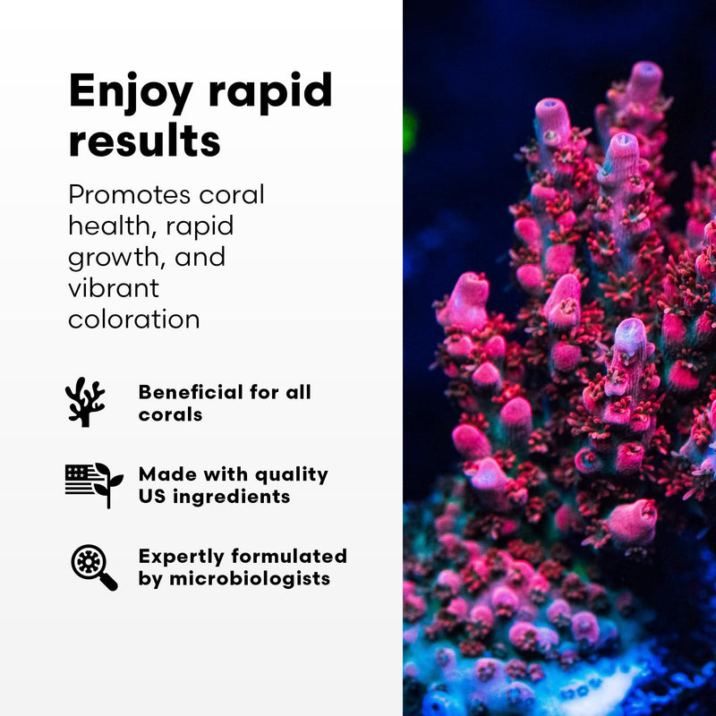 Brightwell Aquatics Coral Inertia NRG+ - All in One Coral Super Food and Multi Nutrient Supplement for All Corals and Their Allies - Aquarium Water Treatments, 250 ml 250-ml