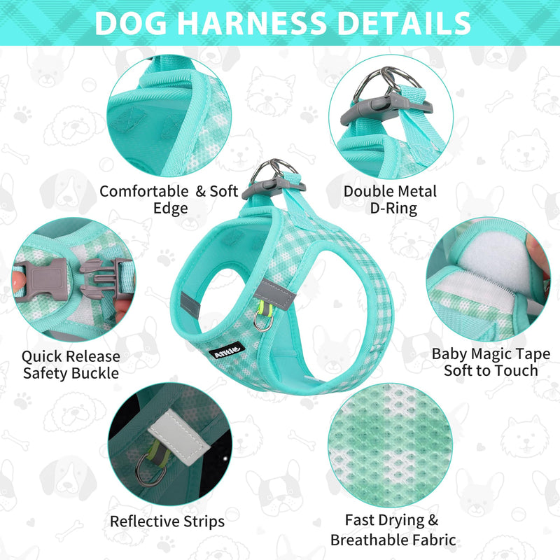 AIITLE No Pull Dog Harness and Leash Set, Step in No Chock Soft Mesh Dog Harnesses Reflective for Extra-Small Puppy Dogs and Cats, Plaid Dog Vest Harness for Pets Turquoise XXS - PawsPlanet Australia