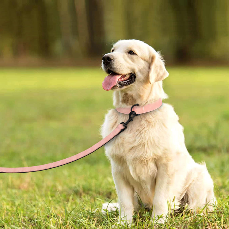 Didog Soft Padded Leather Dog Collar and Leash Set, Adjustable Pink and Breathable Pet Collars with 4FT PU Leather Dog Leash for Small Medium Large Dogs, Pink, L L: Fit Neck 14-18"(22-44 lbs) Pink Set - PawsPlanet Australia