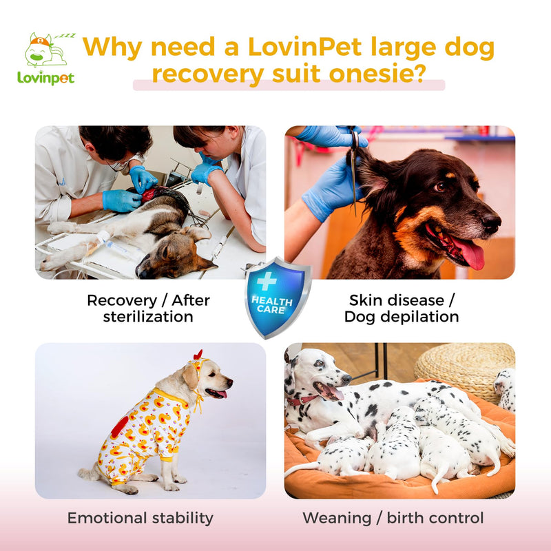 LovinPet Dog Recovery Suit - Medium Large - Dog Bodysuit for Abdominal Wound After Surgery Anti Licking Abdominal Wound Surgical Clothes Post-Operative Vest E-Collar Alternative,Duck,Yellow,M Red collar/Yellow - PawsPlanet Australia
