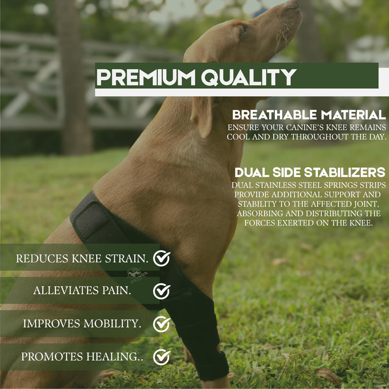 Adjustable Dog Knee Brace for Torn ACL and Luxating Patella - Support for Back Leg, Hip Dysplasia, and Post-Surgery Recovery. Optimal Comfort and Stability for Your Beloved Pet Small