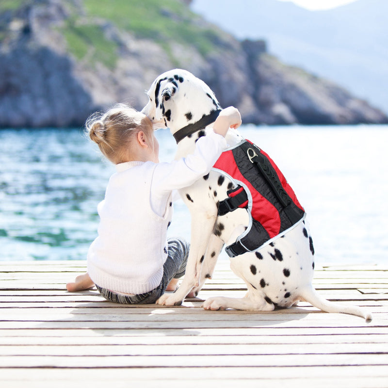 No-Pull Dog Harness - Padded, Mesh Fabric Dog Vest with Reflective Trim, Lifting Handles and Buckle Straps - Red Dog Harness - S Small (20" - 27" chest) - PawsPlanet Australia