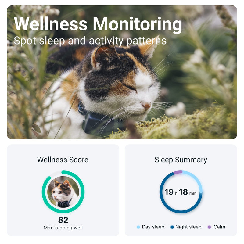 Tractive GPS Tracker & Health Monitoring for Cats (6.5 lbs+) - Market Leading Pet GPS Location Tracker | Wellness & Escape Alerts | Waterproof | Works with Any Collar (Dark Blue) - PawsPlanet Australia