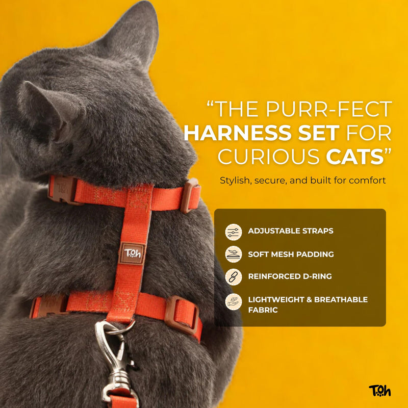 Cat Harness Set, Stylish Design with Adjustable Straps, Easy to Use and Comfortable Cat Harness and Leash, Perfect for Cats Training Outdoor Walking, Khaki Khaki U Khaki - PawsPlanet Australia