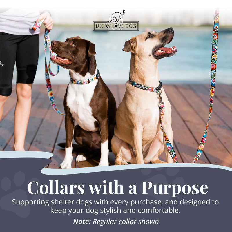 Lucky Love Dog Martingale Dog Collar - Adjustable, No-Slip, Durable, & Soft Webbing Collar for Male and Female Dogs Ideal for Training & Walking - Blackbird, Medium Medium Collars (13-21") - PawsPlanet Australia